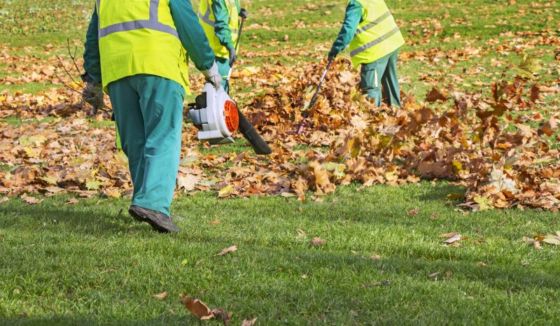 Leaf Vacuum in Use