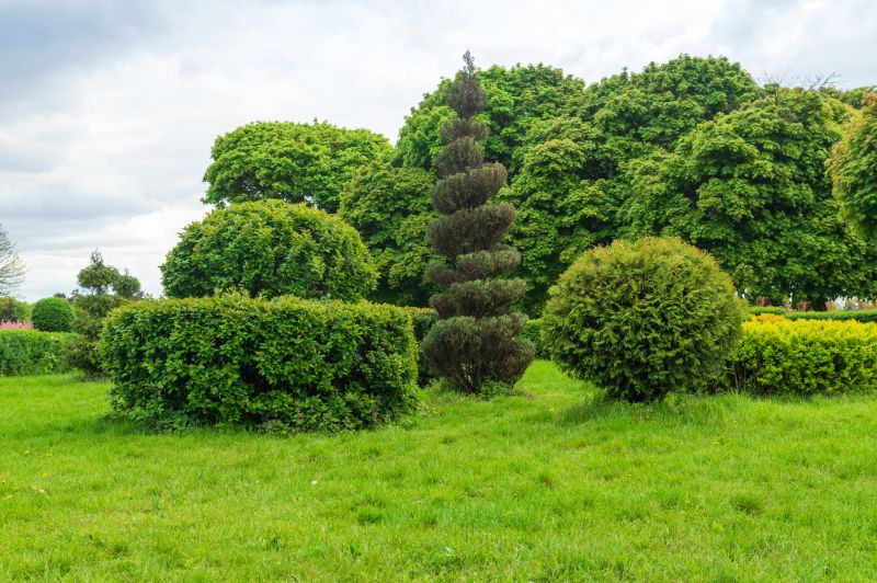 Neatly Trimmed Bushes