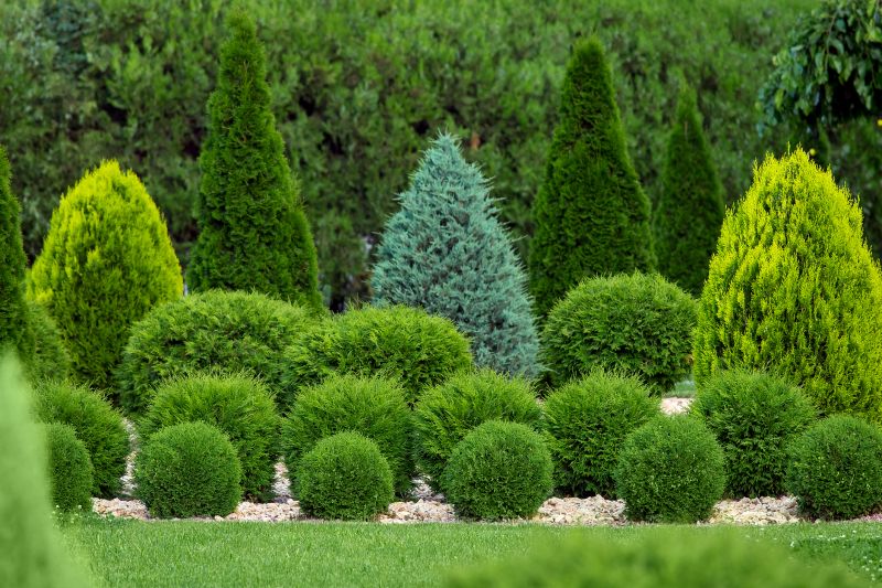 Garden with Symmetrical Shrubs