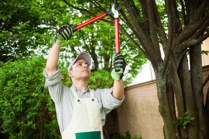 Tree Care Specialists