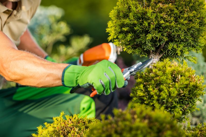 Bush Pruning Service